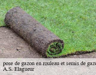 pose de gazon en rouleau et semis de gazon  ahuille-53940 A.S. Elagueur