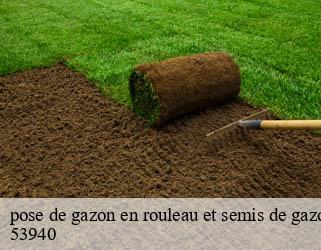 pose de gazon en rouleau et semis de gazon  53940