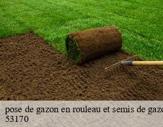 pose de gazon en rouleau et semis de gazon  53170