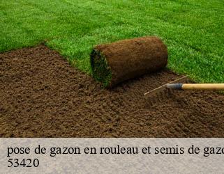 pose de gazon en rouleau et semis de gazon  53420