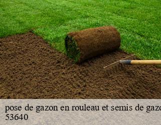 pose de gazon en rouleau et semis de gazon  53640