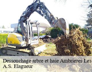 Dessouchage arbre et haie  ambrieres-les-vallees-53300 A.S. Elagueur