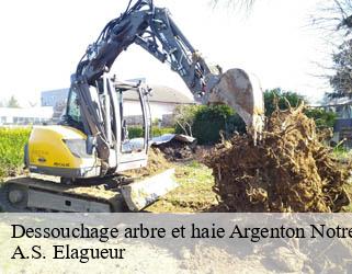 Dessouchage arbre et haie  argenton-notre-dame-53290 A.S. Elagueur