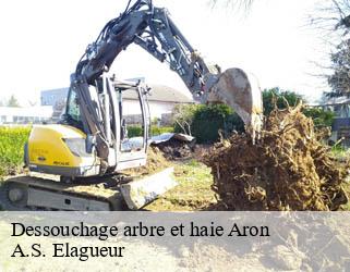 Dessouchage arbre et haie  aron-53440 A.S. Elagueur