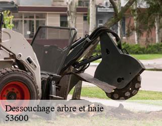 Dessouchage arbre et haie  53600