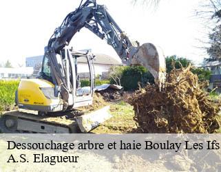 Dessouchage arbre et haie  boulay-les-ifs-53370 A.S. Elagueur