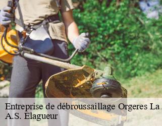 Entreprise de débroussaillage  orgeres-la-roche-53140 A.S. Elagueur