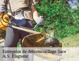 Entreprise de débroussaillage  sace-53470 A.S. Elagueur