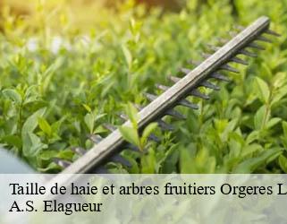 Taille de haie et arbres fruitiers  orgeres-la-roche-53140 A.S. Elagueur