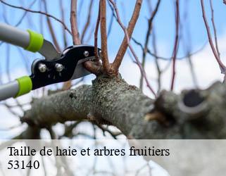 Taille de haie et arbres fruitiers  53140