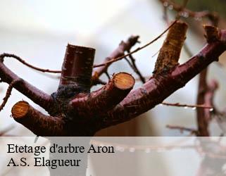 Etetage d'arbre  aron-53440 A.S. Elagueur