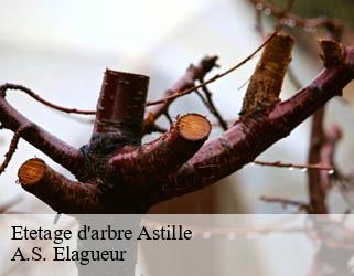 Etetage d'arbre  astille-53230 A.S. Elagueur