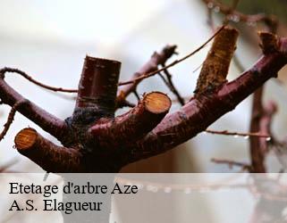 Etetage d'arbre  aze-53200 A.S. Elagueur