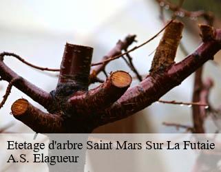 Etetage d'arbre  saint-mars-sur-la-futaie-53220 A.S. Elagueur